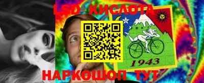 первитин Гусев